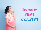 XÉT NGHIỆM SÀNG LỌC TRƯỚC SINH NIPT-PRECARE